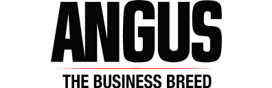 American Angus Association Logo