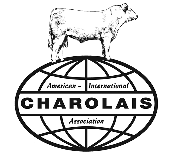 American International Charolais Association Logo